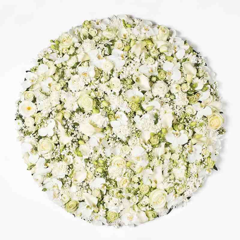 Clara Hallencreutz, White Pixels