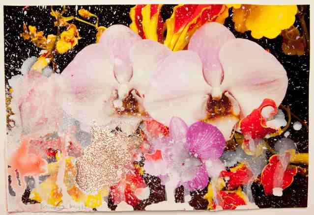 Marc Quinn, Untitled (Print with Paint 183)