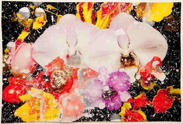 Marc Quinn, Untitled 180